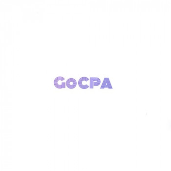 GoCPA marketing platform Chile